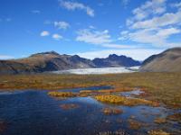 Schwemmsee mit Skaftafellsjökull - Skaftafell NP